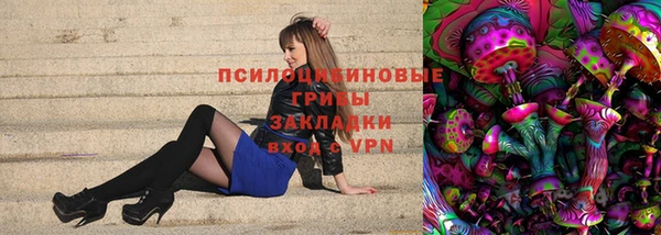 гашик Алзамай