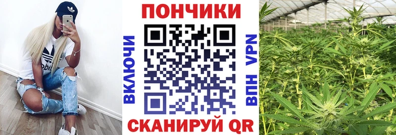 Бошки Шишки планчик  Кувшиново 